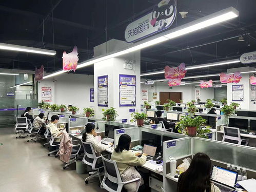 揚州天貓國際自營服務中心迎咨詢高峰，300名大學生支援客服工作